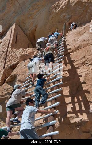 Les visiteurs grimpent sur une échelle à la falaise de Balcony House dans une alcôve à Chaplin Mesa, Cliff Palace Loop, parc national de Mesa Verde, Colorado, États-Unis Banque D'Images