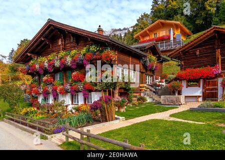 Maison traditionnelle dans les Alpes bernoises près de Wengen (Suisse) décorée avec fleurs Banque D'Images