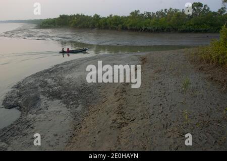 Le parc national Sundarbans est une grande forêt côtière de mangroves, partagée par l'Inde et le Bangladesh Banque D'Images