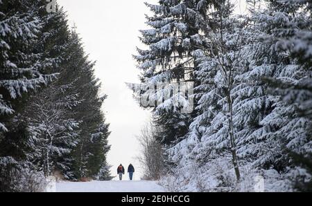 Altenberg, Allemagne. 1er janvier 2021. Les randonneurs traversent une forêt enneigée d'hiver dans le quartier saxon de Sächsische Schweiz-Osterzgebirge le jour de l'an 2021. Credit: Robert Michael/dpa-Zentralbild/dpa/Alay Live News Banque D'Images