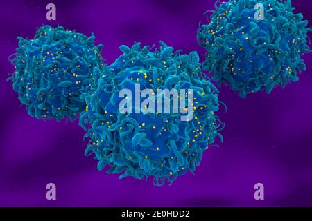L'attaque du virus VIH et la 3d des cellules T infectées en sont l'illustration Banque D'Images