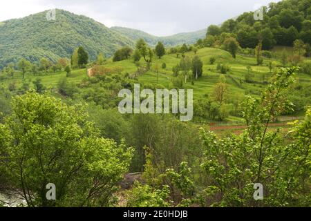 Paysage de printemps dans le comté de Buzau, Roumanie Banque D'Images