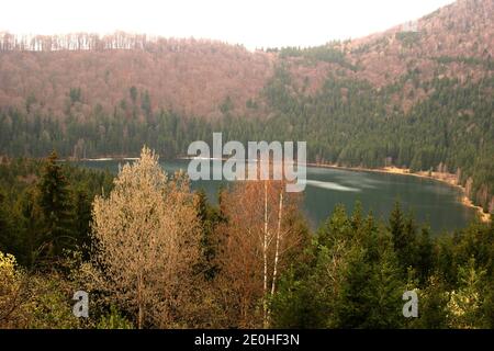 Lac Sfânta Ana, un lac de cratère dans le comté de Harghita, Roumanie Banque D'Images