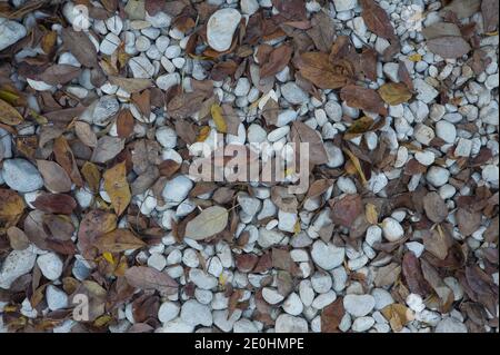 Un chemin de grandes pierres avec des feuilles d'automne tombées. Fond naturel pour insérer du texte en espagne Banque D'Images