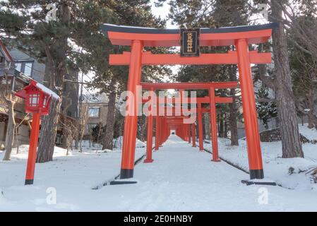 Torii Gates à l'entrée d'un sanctuaire japonais en hiver Banque D'Images