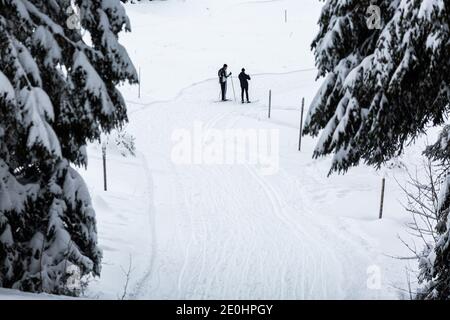 Oberried, Allemagne. 1er janvier 2021. Deux skieurs de fond se tiennent sur une piste avec leurs skis. Le temps hivernal dans la partie supérieure de la Forêt-Noire attire de nombreux visiteurs le jour de l'an. Credit: Philipp von Ditfurth/dpa/Alay Live News Banque D'Images