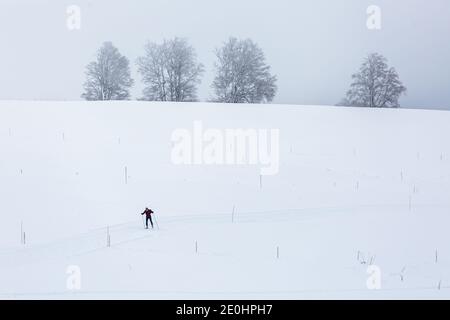 Oberried, Allemagne. 1er janvier 2021. Un skieur de fond est en mouvement sur une pente. Le temps hivernal dans la partie supérieure de la Forêt-Noire attire de nombreux visiteurs le jour de l'an. Credit: Philipp von Ditfurth/dpa/Alay Live News Banque D'Images