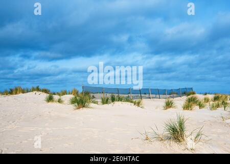 Dune sur les rives de la mer Baltique à Warnemuende, Allemagne. Banque D'Images