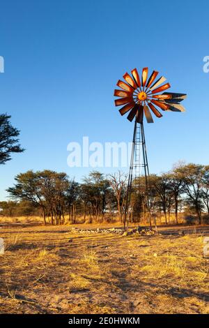 L'ancien moulin à vent du trou d'eau de Rooidam près de Nossob au coucher du soleil, parc transfrontalier de Kgalagadi, Kalahari, Cap Nord, Afrique du Sud Banque D'Images
