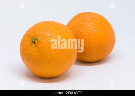 Mandarines Banque D'Images