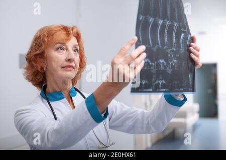 Médecin senior examinant l'IRM d'un patient. Oncologue expérimenté regardant l'IRM Banque D'Images