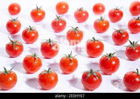 Tomates très fraîches en composition symétrique sur fond blanc. Banque D'Images
