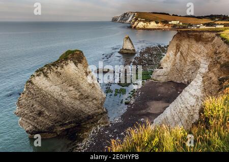 Piles de mer à Freshwater Bay sur l'île de Wight, Angleterre, Royaume-Uni. En regardant vers l'ouest vers Tennyson Down. Banque D'Images