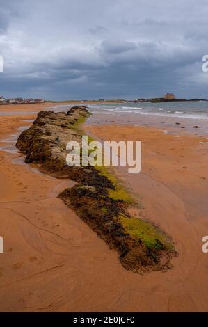 La plage d'Elie, Fife, Écosse avec des nuages de tempête sur le port. Banque D'Images