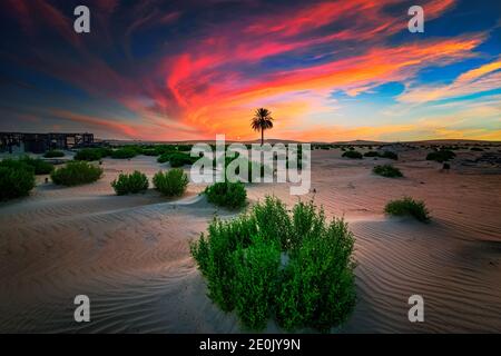 Magnifique lever de soleil dans le désert d'Al Hufuf Arabie Saoudite. Banque D'Images