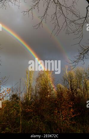 Belfast, Royaume-Uni 1er janvier 2021 Bright Rainbow in Belvoir Park, Belfast Banque D'Images