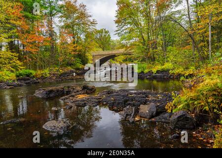 Zone de conservation des prix Hastings County Tweed Ontario Canada en automne Banque D'Images