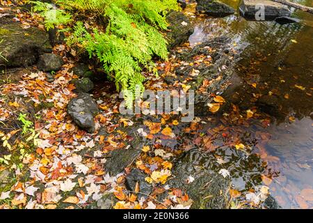 Zone de conservation des prix Hastings County Tweed Ontario Canada en automne Banque D'Images