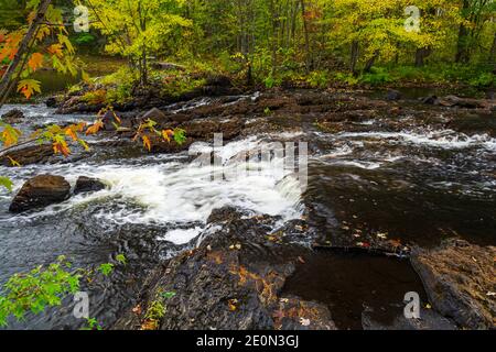 Zone de conservation des prix Hastings County Tweed Ontario Canada en automne Banque D'Images