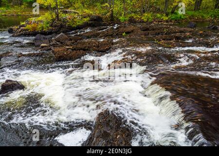 Zone de conservation des prix Hastings County Tweed Ontario Canada en automne Banque D'Images