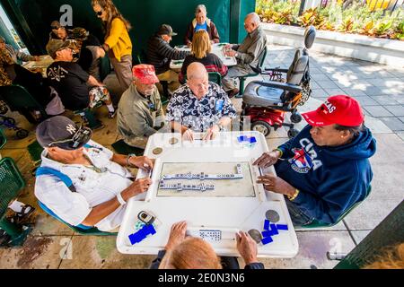 Dominos à Maximo Gomez Park, (Domino Park), quartier de Little Havana, Miami, Floride. Banque D'Images