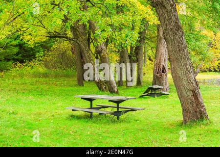 Zone de conservation des prix Hastings County Tweed Ontario Canada en automne Banque D'Images