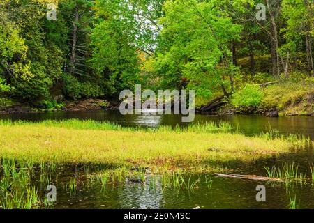 Zone de conservation des prix Hastings County Tweed Ontario Canada en automne Banque D'Images