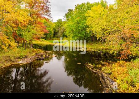 Zone de conservation des prix Hastings County Tweed Ontario Canada en automne Banque D'Images