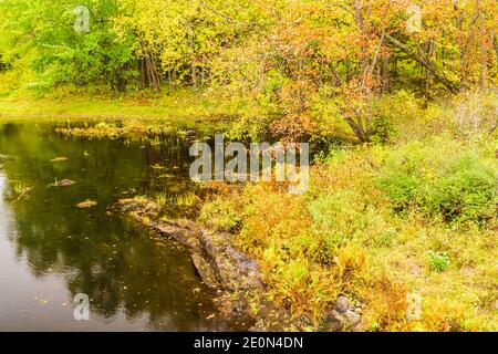 Zone de conservation des prix Hastings County Tweed Ontario Canada en automne Banque D'Images