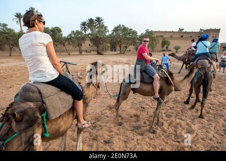 Les touristes étrangers commencent leur promenade à dos de chameau dans le désert au coucher du soleil à Merzouga, qui se trouve au bord de Erg Chebbi (la mer de sable) au Maroc. Banque D'Images