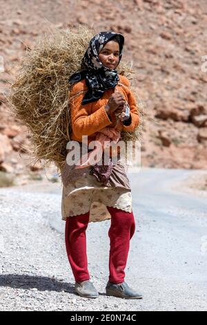 Une jeune fille marocaine transportant une charge de foin dans la gorge de Todra à Tinerhir au Maroc. Todra gorge est un canyon dans les montagnes de l'est du Haut Atlas. Banque D'Images