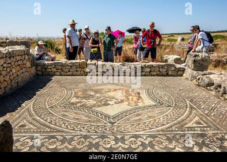 Les touristes inspectent une mosaïque de sol ancienne à Volubilis au Maroc. Volubilis est une ancienne ville berbère et romaine installée au 3ème siècle av. J.-C. Banque D'Images