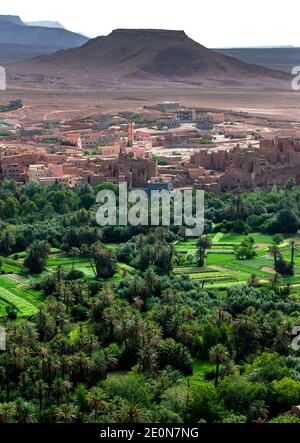 Une section de la luxuriante oasis de Tinerhir au Maroc où les fruits et les légumes sont cultivés. Tinerhir est une ville au sud des montagnes du Haut Atlas. Banque D'Images