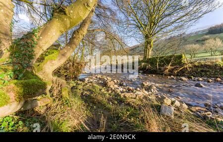 De l'eau calme traverse les champs du Yorkshire Dales National Park dans le North Yorkshire Banque D'Images