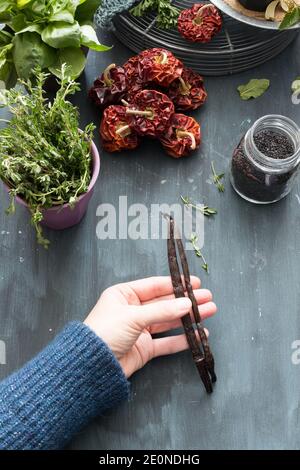 Femme main tenant deux fèves de vanille dans la partie inférieure d'une vie fixe composée par des pots de plantes aromatiques et des poivrons rouges rouges. Banque D'Images