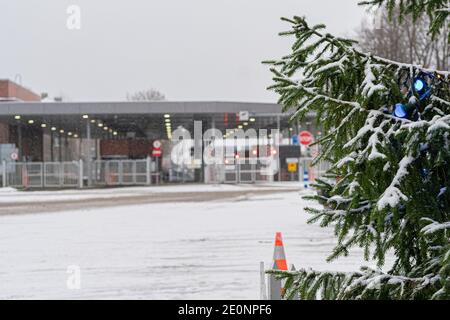 Narva, Estonie. 23 décembre 2020 UNE branche d'épinette décorée dans le contexte des coutumes estoniennes. Photo de haute qualité Banque D'Images