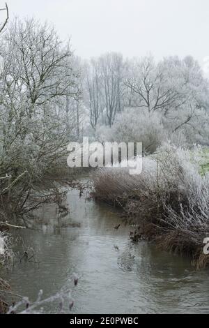 Végétation couverte de givre sur les rives du Dorset Stour après une nuit de températures glaciales le jour de l’an 2021. Gillingham Dorset Eng Banque D'Images