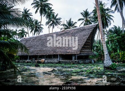 Maison de réunion traditionnelle pour hommes (fauluw). Yap, États fédérés de Micronésie.