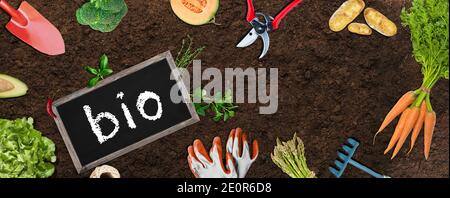 Jardin agriculture biologique, avec des outils de lardination légumes et titre Bio sur tableau noir Banque D'Images
