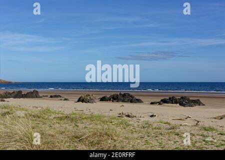 Bois de grève sur le sable et entre les rochers volcaniques dispersés sur la plage à l'extrémité nord de la réserve naturelle de St Cyrus dans l'Aberdeenshire. Banque D'Images