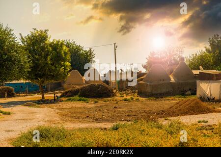 Dans une journée chaude, maison en brique de boue dans le village de Harran, maisons traditionnelles en brique de boue 'ruche' avec des toits en forme de cône, Sanliurfa, Turquie Banque D'Images