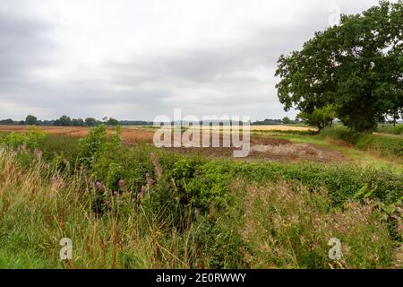 Le champ où le roi Richard III est censé être mort pendant la bataille de Bosworth, guerres des Roses en 1485, près de Ambion Hill, Leics, Royaume-Uni. Banque D'Images