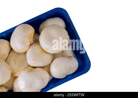 Champignons blancs entiers dans un plateau isolé sur fond blanc. Vue de dessus. Banque D'Images