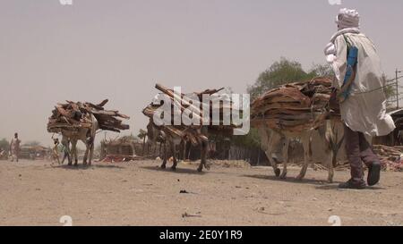 La vie continue à Bosso, Niger, 19 avril 2017 11. Banque D'Images