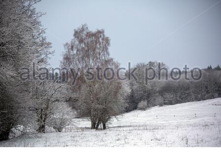 Coburg, Allemagne. 03ème janvier 2021. Un début de journée enneigé près de Coburg en Bavière, en Allemagne. La prévision est pour d'autres jours froids mais secs, couvert. Crédit : ClearPix/Alay Live News Banque D'Images