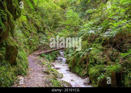 Passerelle dans le Ratenbachklamm, Kaltern a. d. Weinstr., Tyrol du Sud, Italie, Europe Banque D'Images