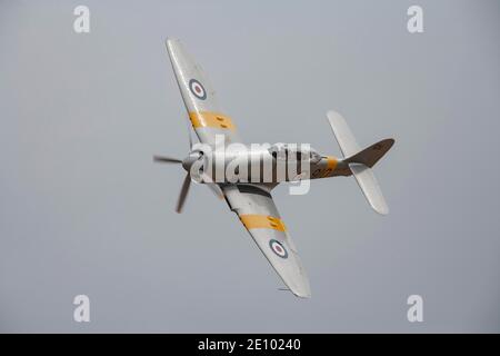 Hawker Sea Fury en vol dans les marquages de la Marine royale, Cambridgeshire, Angleterre, Royaume-Uni, Europe Banque D'Images