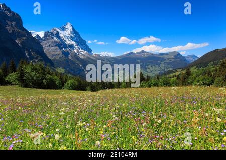 Eiger, Grindelwald, Suisse, Europe Banque D'Images