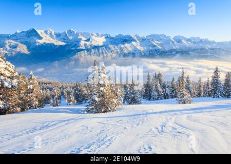 Alpes bernoises, vue de Niederhorn, Suisse, Europe Banque D'Images