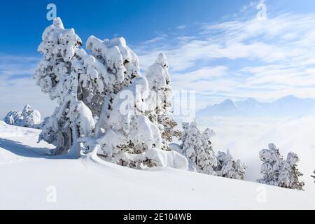 Alpes bernoises, vue de Niederhorn, Suisse, Europe Banque D'Images